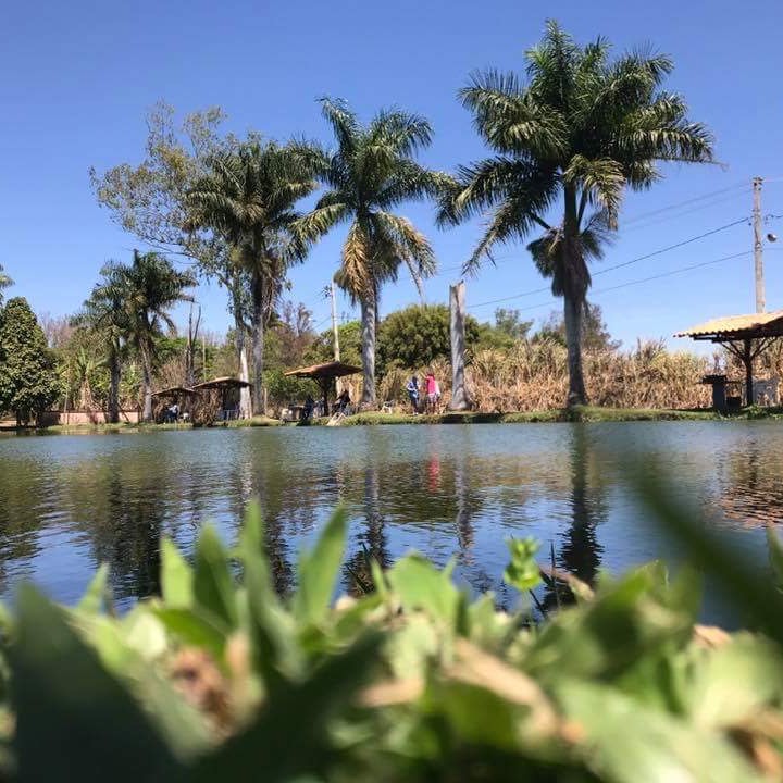 Lagoa e quiosques entre palmeiras na Vila Quatro Estações